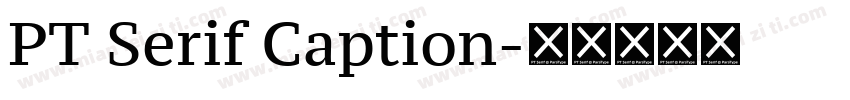 PT Serif Caption字体转换